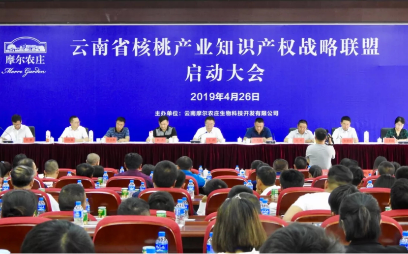 云南省核桃产业知识产权战略联盟启动大会在摩尔农庄举行